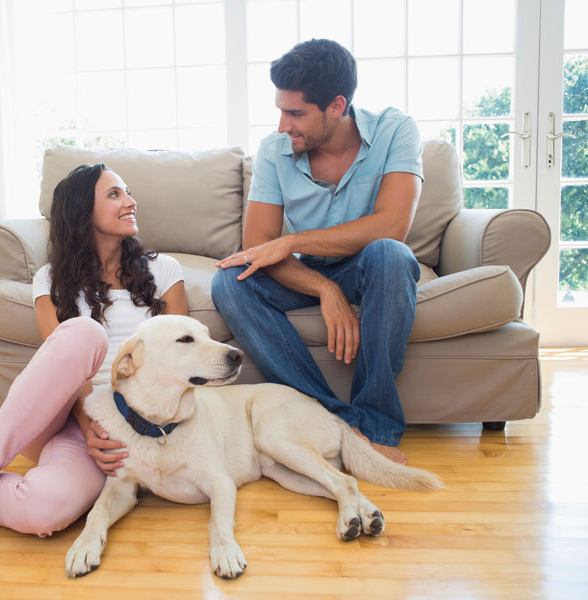 Galaxy Series door performance